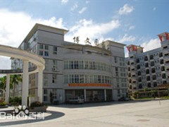 漳州双语实验学校学费多少