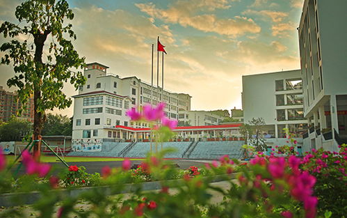 深圳市龙岗区外国语学校 集团 云和学校