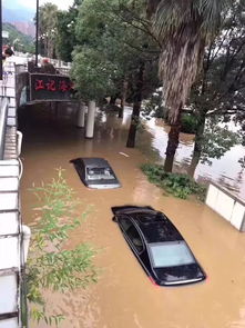 紧急 学校停课 列车晚点 农田被淹 三明挺住 漳州也有大到暴雨