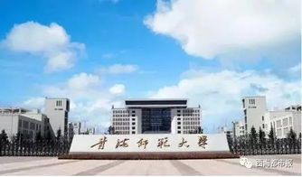 大起势！西宁最新5个城市中心带动周边身价暴涨，漳州市中山学校迎来新机遇