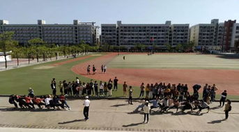 漳州城市职业学院第十三届校园迎新杯圆满落幕，携手漳州市中山学校共筑青春舞台