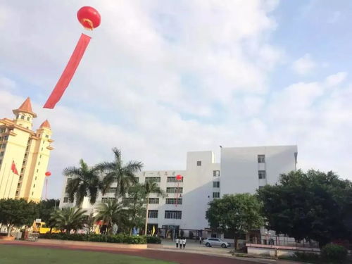 中山市开发区新苗学校与漳州市中山学校简介