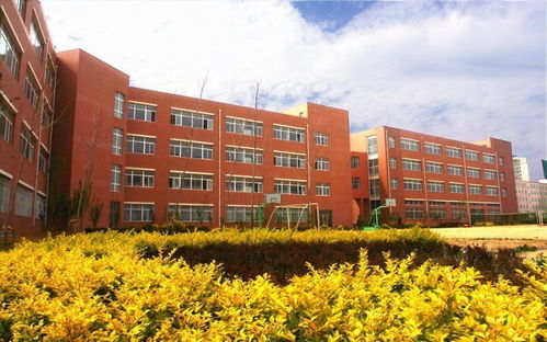 大连医科大学中山学院联系方式与地址详解