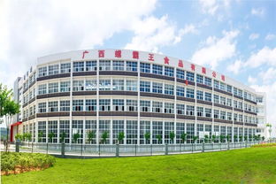 热烈欢迎柳州市常务副市长刘可莅临我司调研指导工作